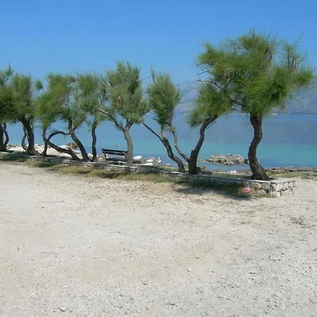 Dali Rtina