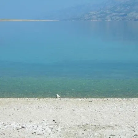 Dali * Rtina